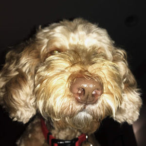 Meet your Posher, Karina